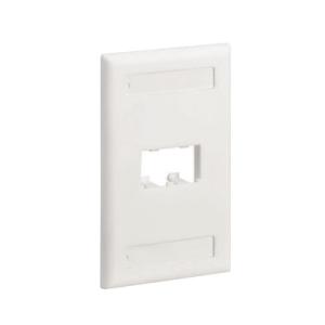 Placa de Pared Vertical Clásica, Salida Para 2 Puertos Mini-Com, Con Espacios Para Etiquetas, Color Blanco