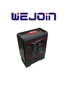 WEJOIN WJDG102 - Sensor de Masa Vehicular por Inducción / Detector para Barreras de Acceso 1 Lazo 110VAC